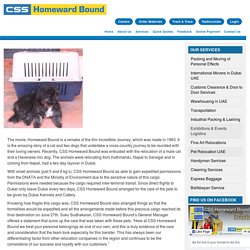 Pet Relocation and Pet Moving Services in Dubai