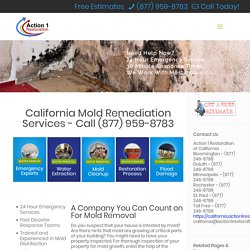Mold Remediation and Mold Removal Services in California - Free Estimates