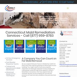 Mold Remediation and Mold Removal Services in Connecticut - Free Estimates