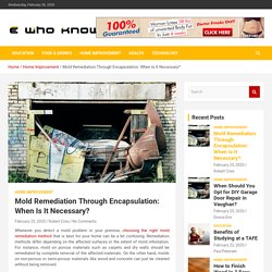 Mold Remediation Through Encapsulation: When Is It Necessary? - E Who Know