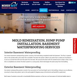 Mold Remediation Rochester NY, Egress Window Rochester, Sump Pump Installation