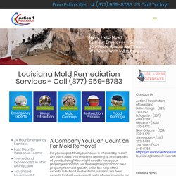 Mold Remediation and Mold Removal Services in Louisiana - Free Estimates