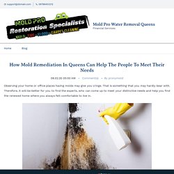How Mold Remediation In Queens Can Help The People To Meet Their Needs