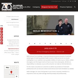 Select a Mold Removal Contractor