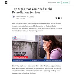 Top Signs that You Need Mold Remediation Services - America Restorations, LLC - Medium