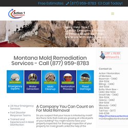 Mold Remediation and Mold Removal Services in Montana - Free Estimates