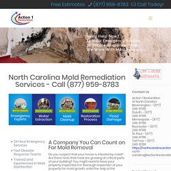 Mold Remediation and Mold Removal Services in North Carolina - Free Estimates