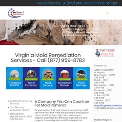 Mold Remediation and Mold Removal Services in Virginia - Free Estimates