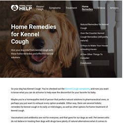 Home Remedies for Kennel Cough - Effective Natural Solutions