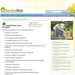 Helpful Hints, Home Remedies - Texas Gardening Forum