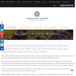 Flower Remedy