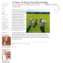 Best Home Remedies For Dogs