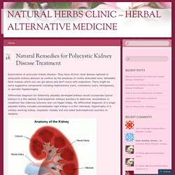Natural Remedies for Polycystic Kidney Disease Treatment