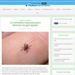 12 remedios naturales para eliminar las garrapatas