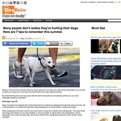 Many people don’t realize they’re hurting their dogs. Here are 7 tips to remember this summer. » DogHeirs