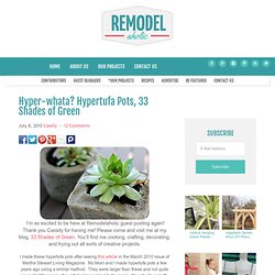 Hypertufa Pots (Perlite, Peat Moss, Cement)