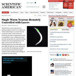 Single Worm Neurons Remotely Controlled with Lasers