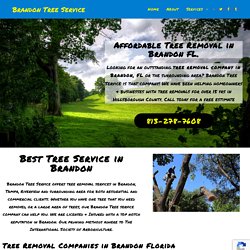 Tree Removal in Brandon FL - Affordable Local Tree Removal Service