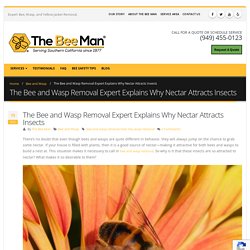 The Bee and Wasp Removal Expert Explains Why Nectar Attracts Insects