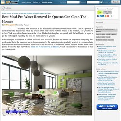 Best Mold Pro Water Removal In Queens Can Clean The Homes