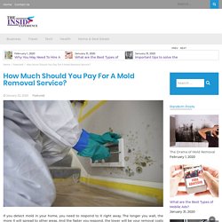 How Much Should You Pay For A Mold Removal Service?