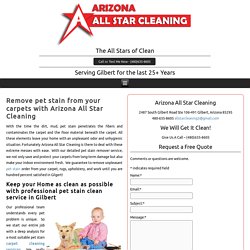 Pet Odor & Stain Removal Service
