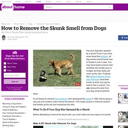 How to Remove Skunk Smell from Dogs