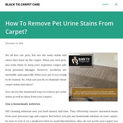 How To Remove Pet Urine Stains From Carpet?