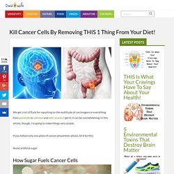 Kill Cancer Cells By Removing THIS 1 Thing From Your Diet! - David Avocado Wolfe - DavidWolfe.com