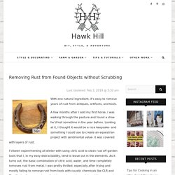 Removing Rust from Found Objects without Scrubbing - Hawk Hill