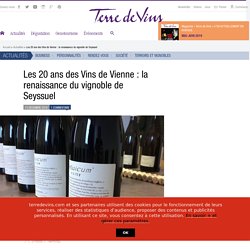 Les 20 ans des Vins de Vienne : la renaissance du vignoble de Seyssuel - Les 20 ans des Vins de Vienne : la renaissance du vignoble de Seyssuel