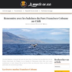 Rencontre avec les baleines du Parc Francisco Coloane au Chili - Blog Le Monde en Sac