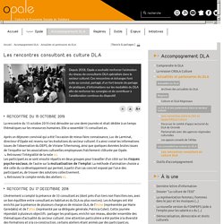 Les rencontres consultant.es culture DLA - Association Opale