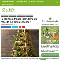 Fontaines à fraises : Rendements records sur petits espaces !