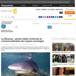 La Réunion : pêche ciblée renforcée et commercialisation de requins envisagée - outre-mer 1ère