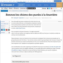 Rennes:les chiens des punks à la fourrière