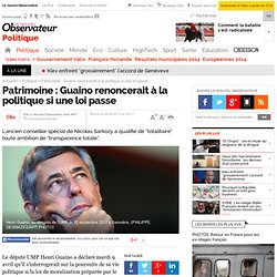 Patrimoine : Guaino renoncerait à la politique si une loi passe