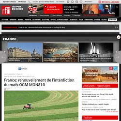 France: renouvellement de l’interdiction du maïs OGM MON810 - France