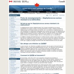 Fiche de renseignements - Staphylococcus aureus résistant à la méthicilline - Maladies infectieuses