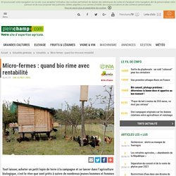 Micro-fermes : quand bio rime avec rentabilité, Actualités générales