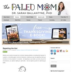 Repairing the Gut - The Paleo Mom