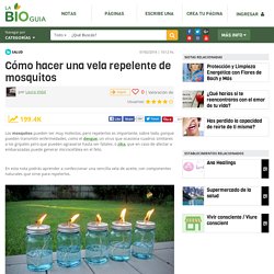 Cómo hacer una vela repelente de mosquitos - Notas - La Bioguía