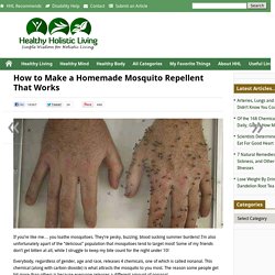 Homemade Mosquito Repellent That Actually WorksHealthy Holistic Living