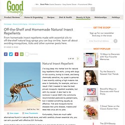 Best Natural Insect Repellents and Homemade Herbal Bug Sprays