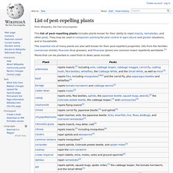List of pest-repelling plants
