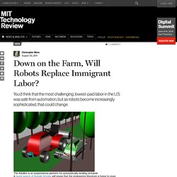 Down on the Farm, Will Robots Replace Immigrant Labor?