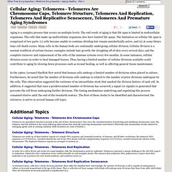 Cellular Aging: Telomeres - Telomeres Are Chromosome Caps, Telomere Structure, Telomeres And Replication, Telomeres And Replicative Senescence, Telomeres And Premature Aging Syndromes