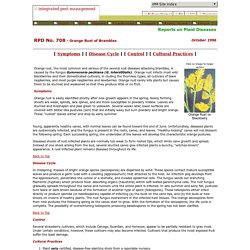 IPM : Reports on Plant Diseases : Orange Rust of Brambles