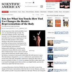 You Are What You Touch: How Tool Use Changes the Brain's Representations of the Body