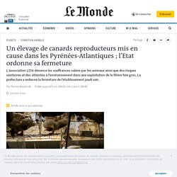 Un élevage de canards reproducteurs mis en cause dans les Pyrénées-Atlantiques ; l’Etat ordonne sa fermeture